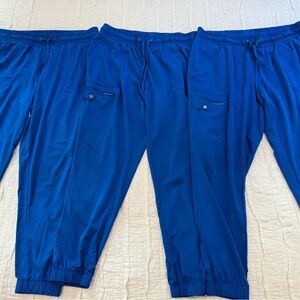 Healing Hands Women's Blue Jogger Pants